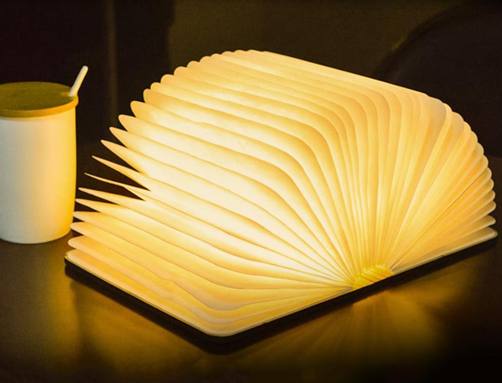 Libro Luminoso